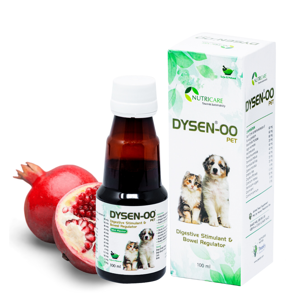 Dysen-00 Pet digestive stimulant & bowl regulator for pets