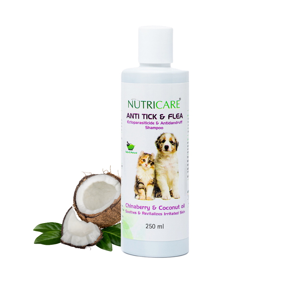 Anti Tick & Flea Shampoo for pets