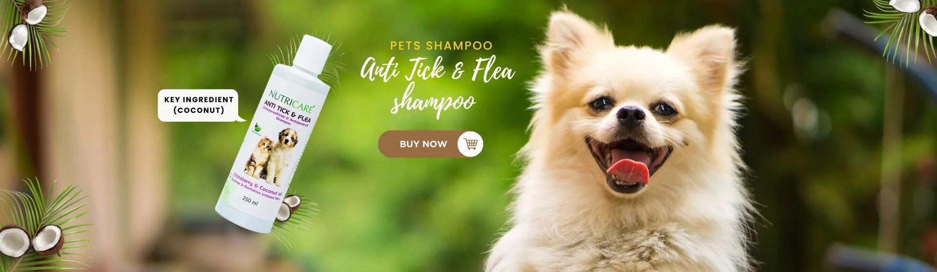Anti Tick and Flea Shampoo